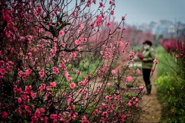 su-khac-nhau-giua-3-mien